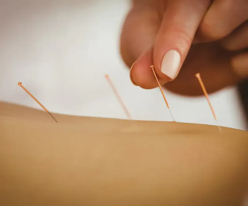 Fertilidade Integrativa